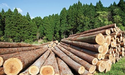 Ремені Optibelt - запорука успіху в целюлозно-паперовій промисловості - Фото №2