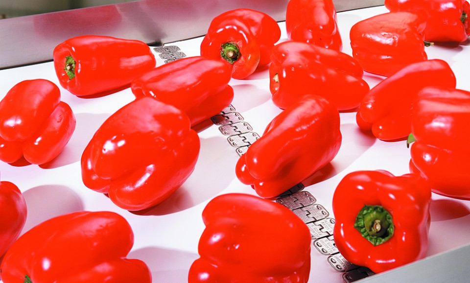 З’єднувальні замки для стрічок Alligator Ready Set від Flexco - Фото №1