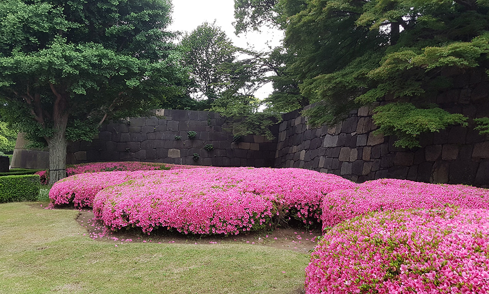 "MADI IN JAPAN - 2" - НЕ НАПИС, А ФІЛОСОФІЯ! ПЕРЕВІРЕНО ДВІЧІ - Фото №17