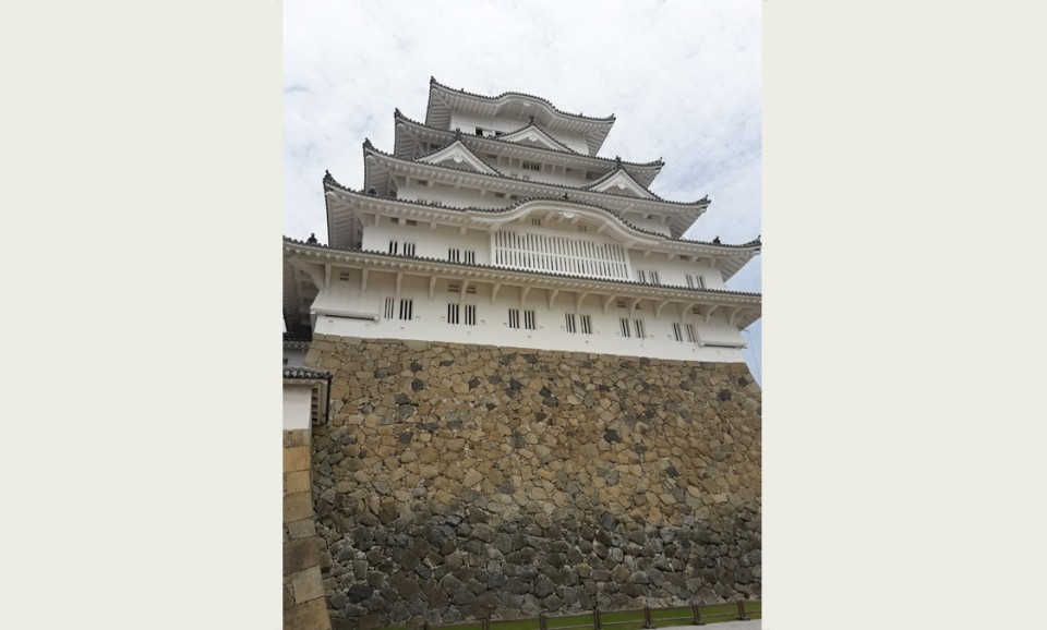 "MADI IN JAPAN - 2" - НЕ НАПИС, А ФІЛОСОФІЯ! ПЕРЕВІРЕНО ДВІЧІ - Фото №12