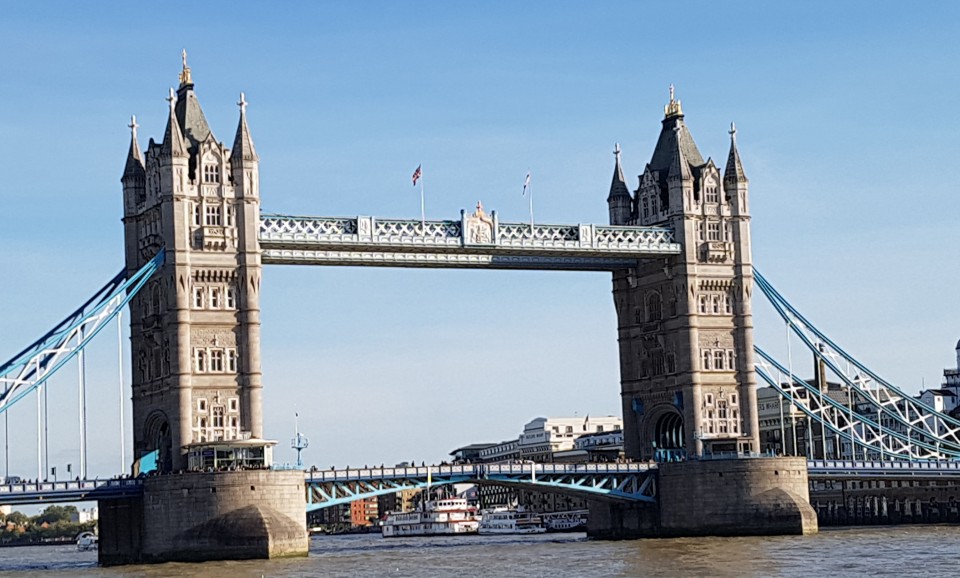 Конференція EPTDA 2018 в Лондоні - Фото №22