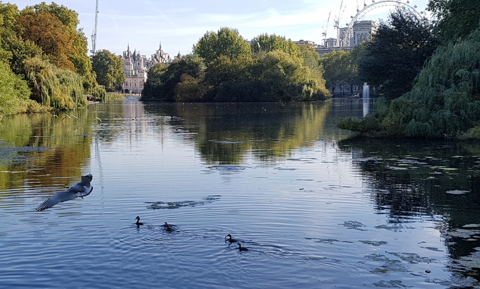 Конференція EPTDA 2018 в Лондоні - Фото №18