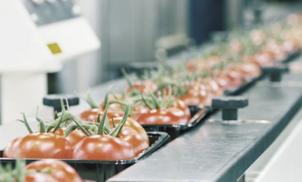 Паси Optibelt для харчової промисловості - Фото №1