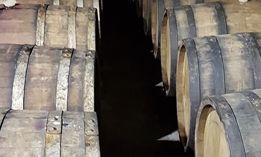 Різдвяна казка для кращих співробітників - Фото №8