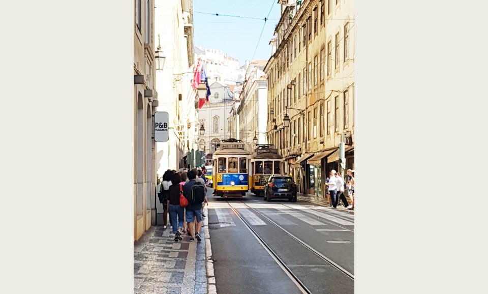 Зустріч представництв Berndorf в Португалії - Фото №11