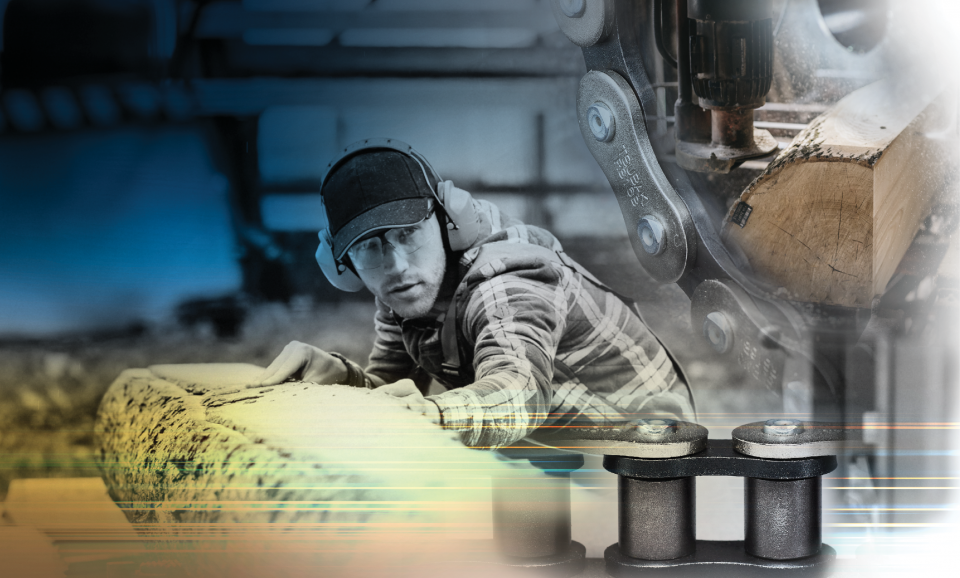 50-річчя Tsubaki Europe! - Фото №4