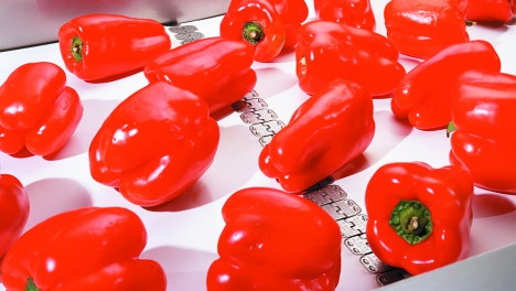 З’єднувальні замки для стрічок Alligator Ready Set від Flexco