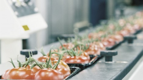 Паси Optibelt для харчової промисловості