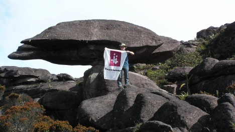 Белтімпорт продовжує розширювати свої кордони. Приєднуйтеся!